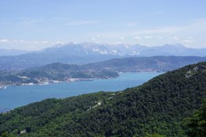 _DSC0004