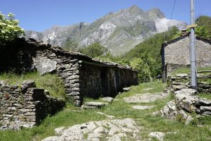 _DSC0041