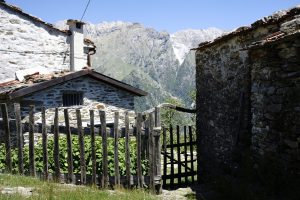 _DSC0042