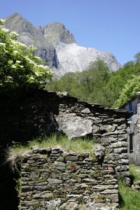 _DSC0047