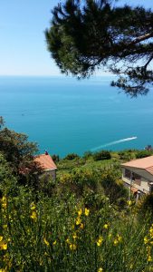 IMG-20160521-WA0013
