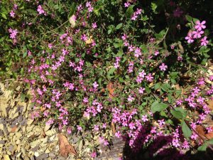 IMG-20160521-WA0029