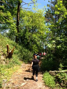 IMG-20160521-WA0030