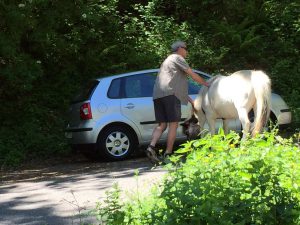 IMG-20160522-WA0029