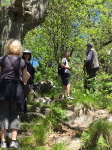 IMG-20160522-WA0039